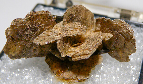 Polylithionite