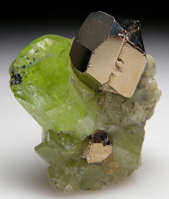 Pyrite on Diopside
