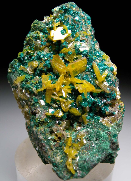 Wulfenite on Dioptase