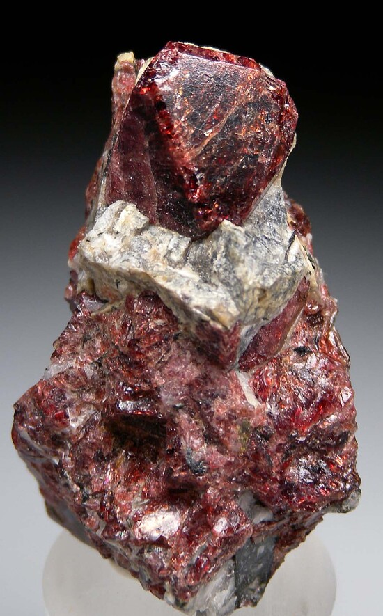 Eudialyte