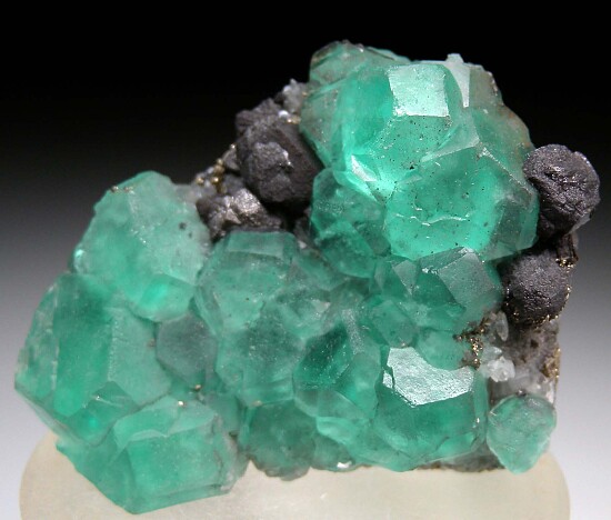 Fluorite with Galena
