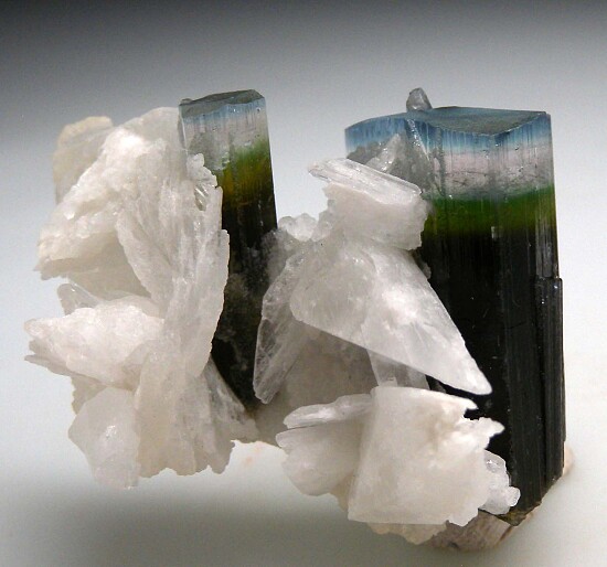 Hambergite on Tourmaline