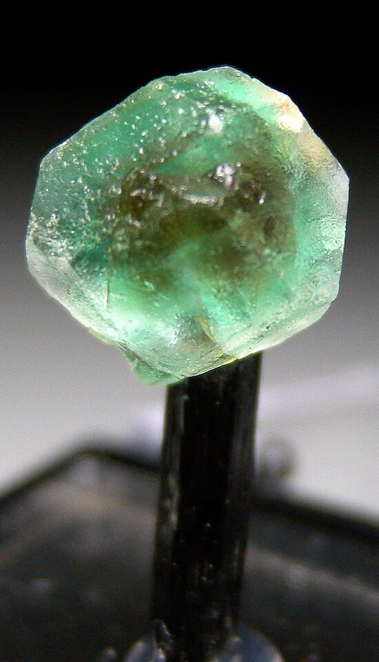 Fluorite on Schorl