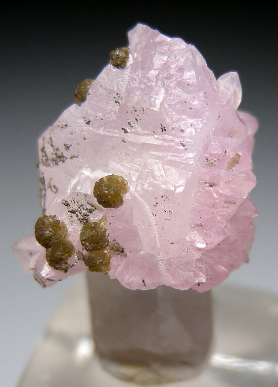 Eosphorite on Rose Quartz