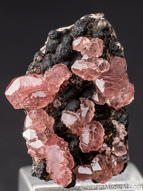 Rhodochrosite