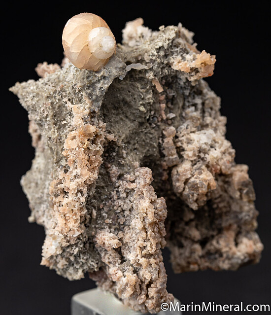 Chalcedony after Gastropod