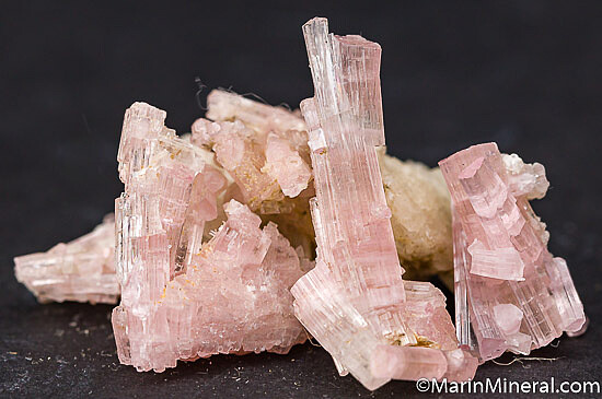 Tourmaline with Albite