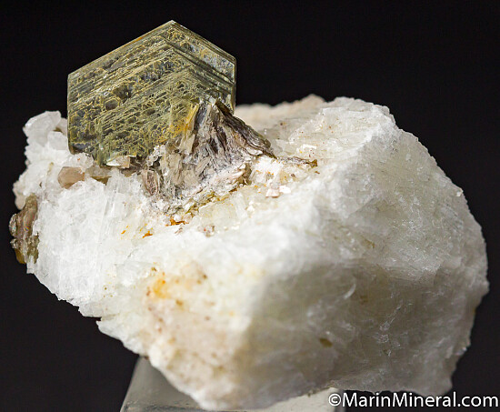 Muscovite