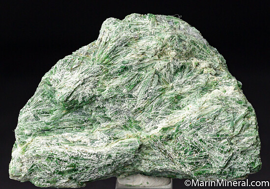 Actinolite