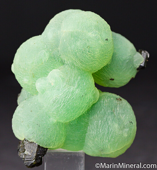 Epidote on Prehnite