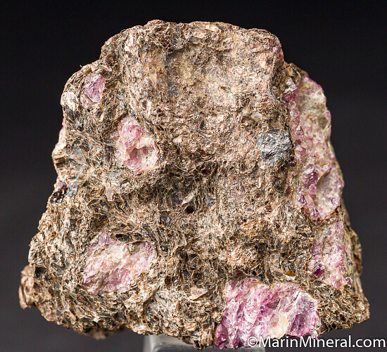 Rhodolite Garnet in Schist