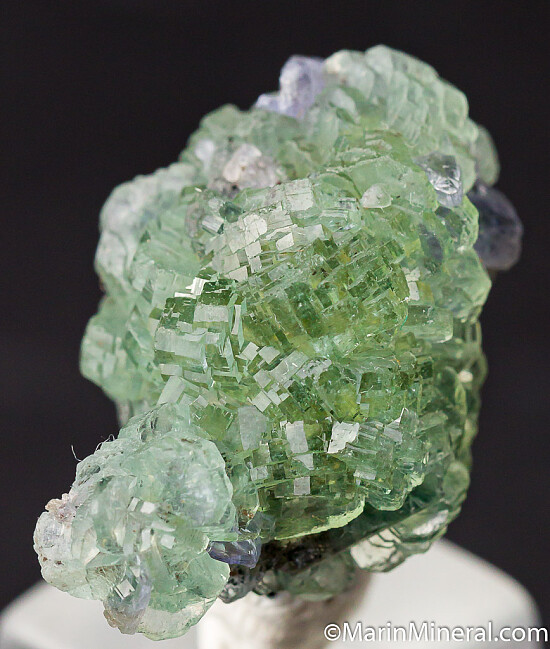 Prehnite with Tanzanite