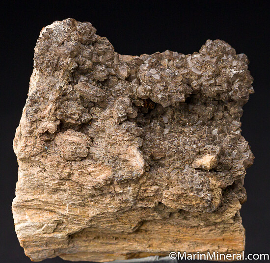 Quartz on petrified wood