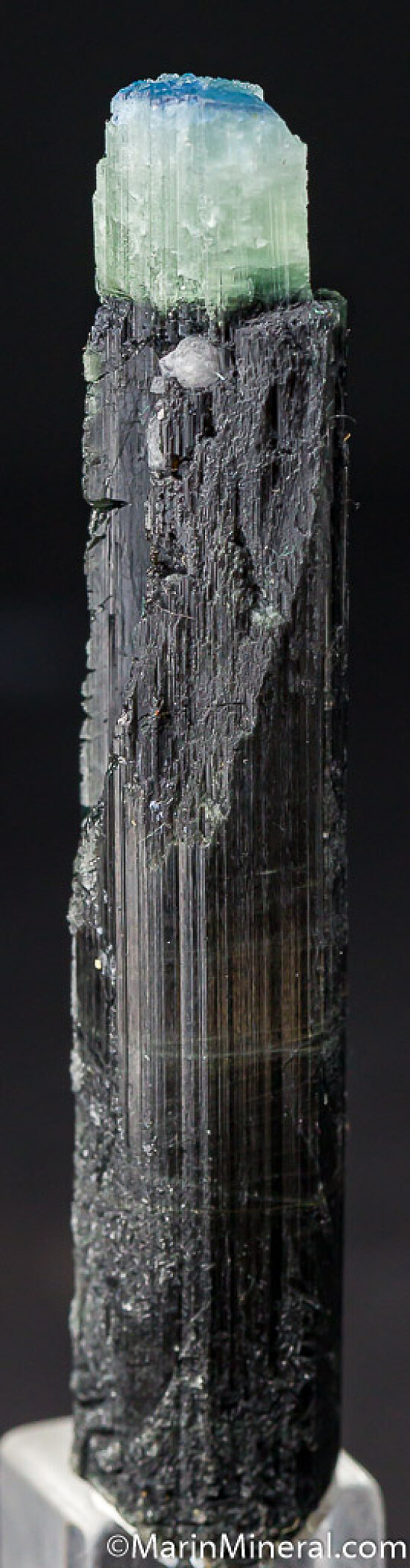 Dravite