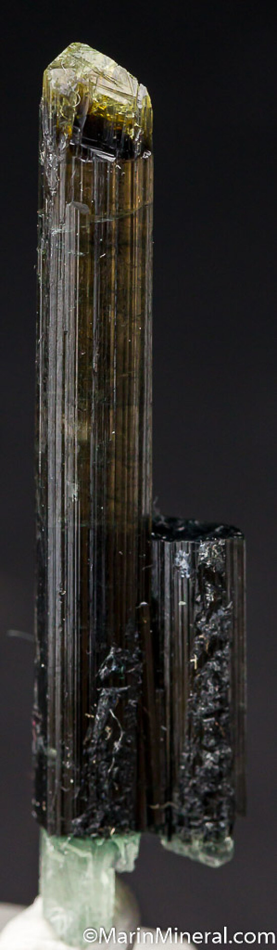 Dravite
