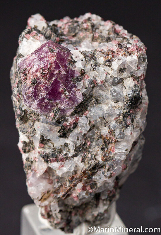Ruby in Schist