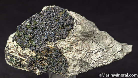 Melanite with Clinochlore