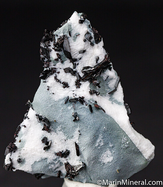 Neptunite