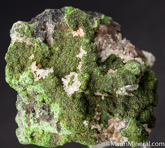 Quartz on Conichalcite