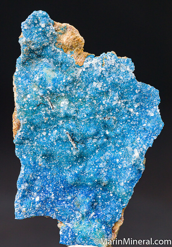 Kinoite