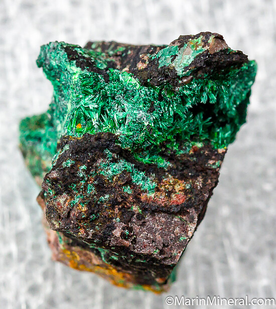 Metatorbernite, Kasolite, Malachite