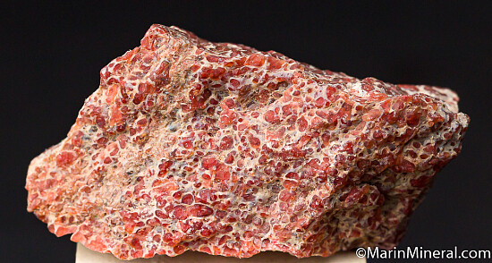 Agate after Dinosaur Bone