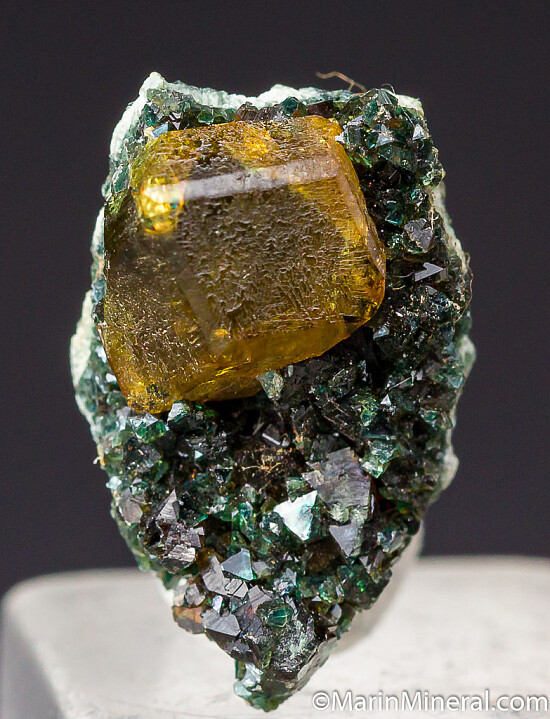 Andradite var. Topazolite