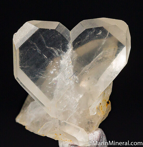 Quartz (Japan Law Twin)