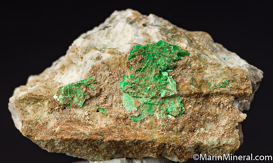 Torbernite