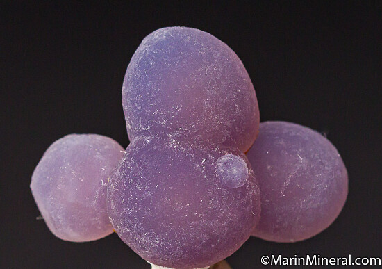 Amethyst var. Grape Agate