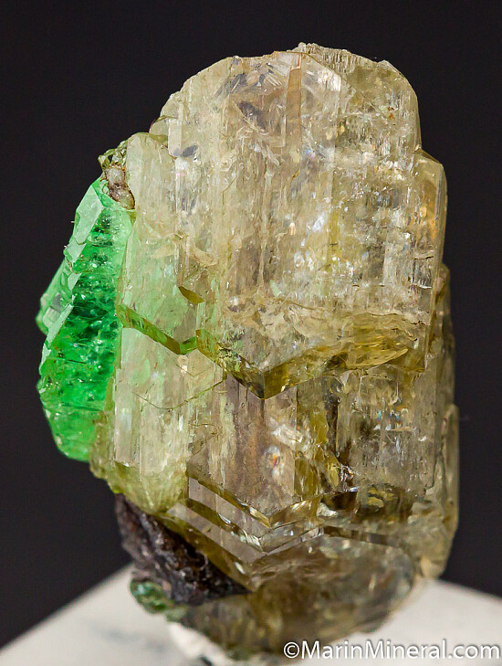 Tsavorite on Diopside