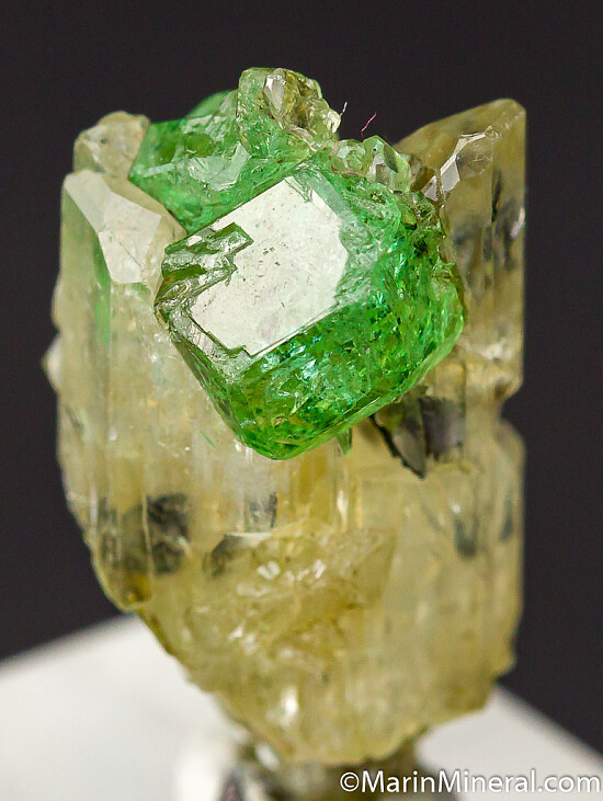 Tsavorite on Diopside