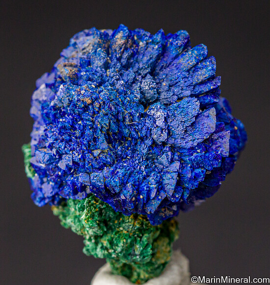 Azurite on Malachite
