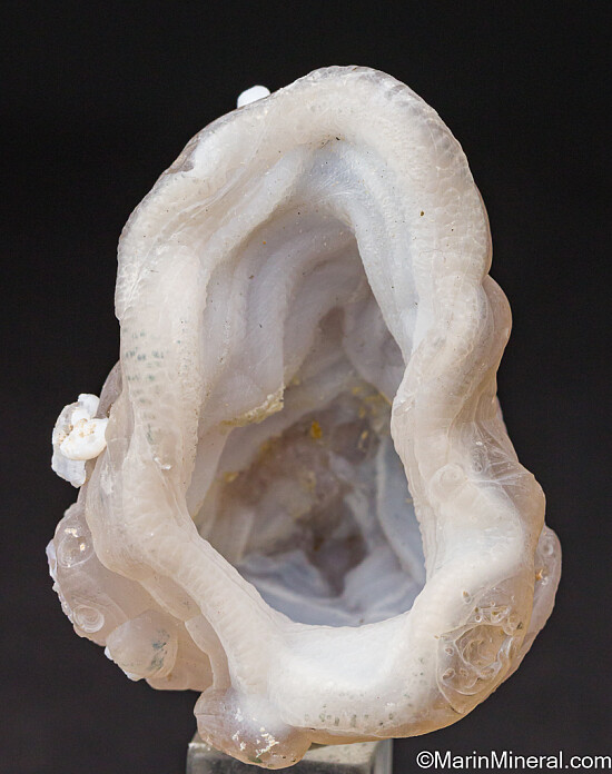 Quartz var. Chalcedony