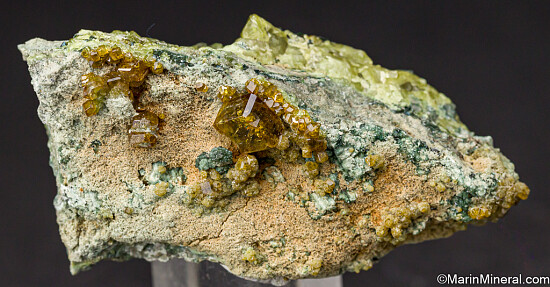 Andradite var. Topazolite