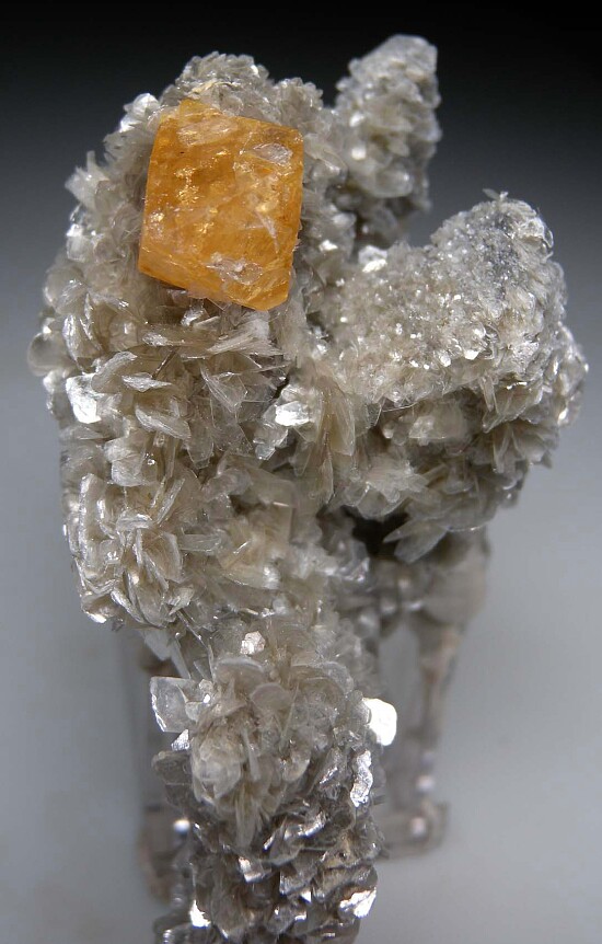 Scheelite on Muscovite