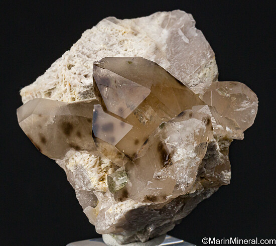 Uranomicrolite halos in Quartz with Tourmaline