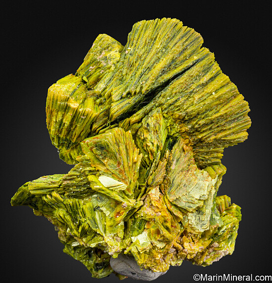 Autunite
