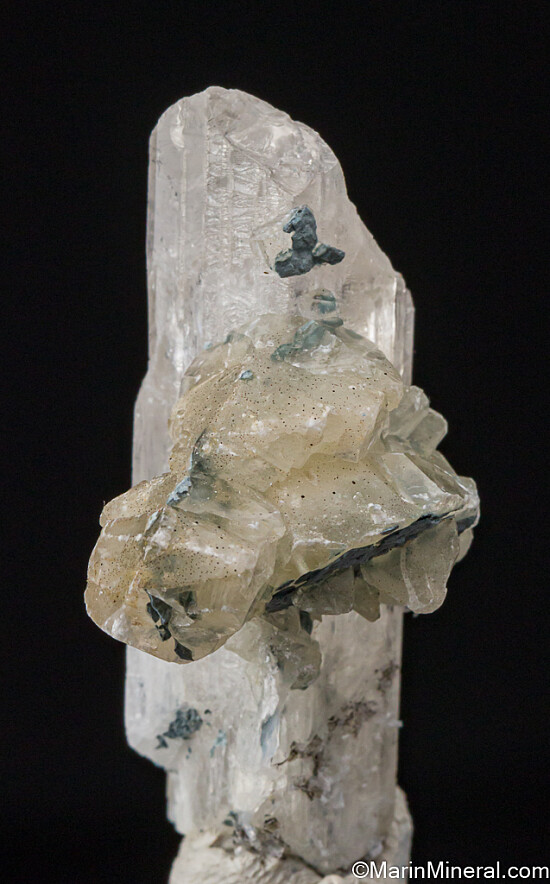 Calcite on Danburite