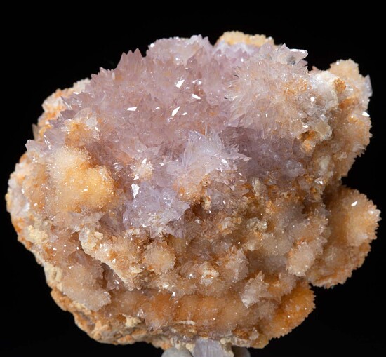 Creedite