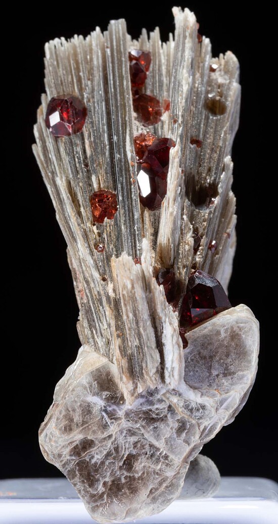 Spessartine on Muscovite