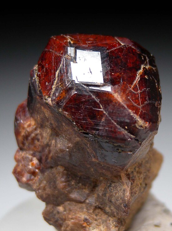 Andradite