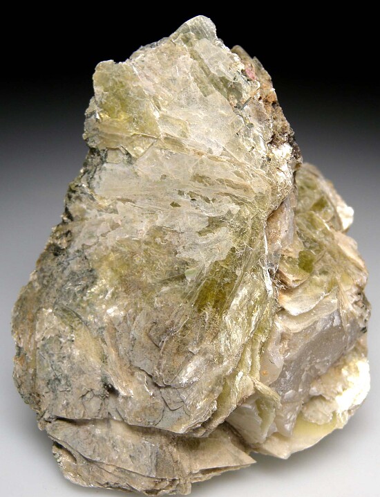 Polylithionite