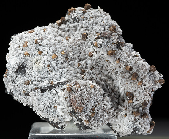 Poldervaartite, Bulfonteinite