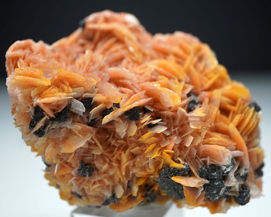 Cerussite, Barite, Galena