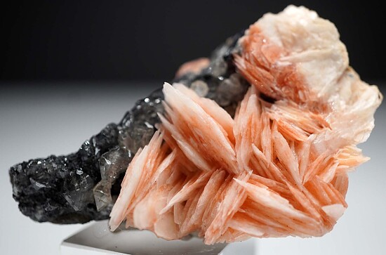 Cerussite, Barite, Galena