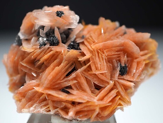 Cerussite, Barite, Galena
