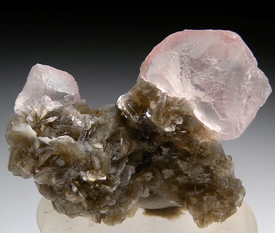 Fluorite on Muscovite