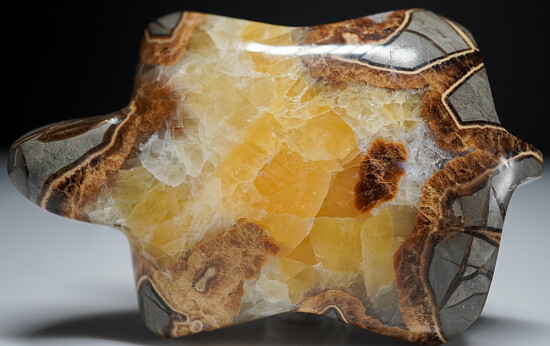 Septarian Nodule Turtle