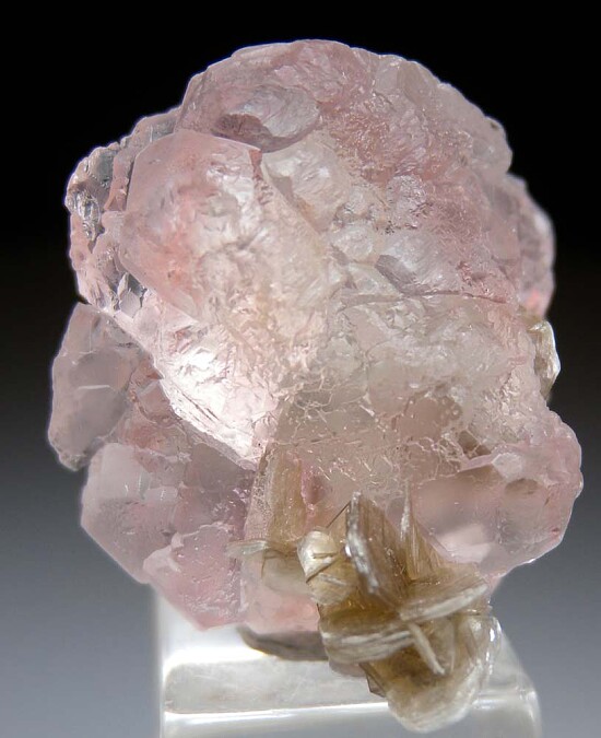 Fluorite on Muscovite